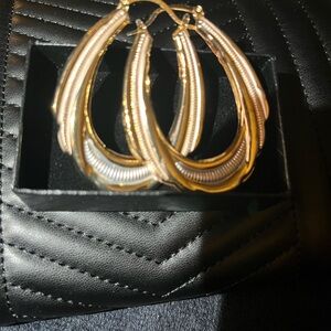 Elegant Gold and Silver Hoop Earrings